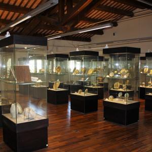 museo delle ceramiche di Castelli