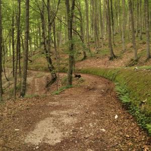 Scorcio del Parco Nazionale del Gran Sasso Fonte Nera nella Valle Siciliana a Teramo in Abruzzo