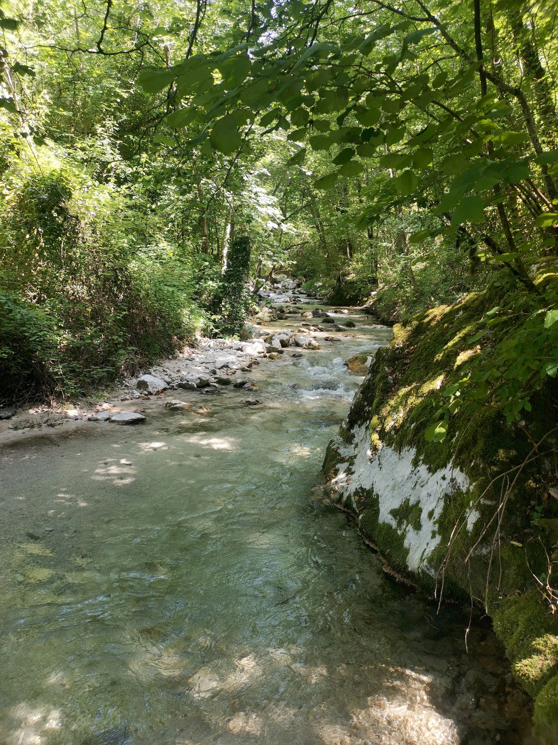 torrente di montagna seguendo l'acqua Gran Sasso D'Italia