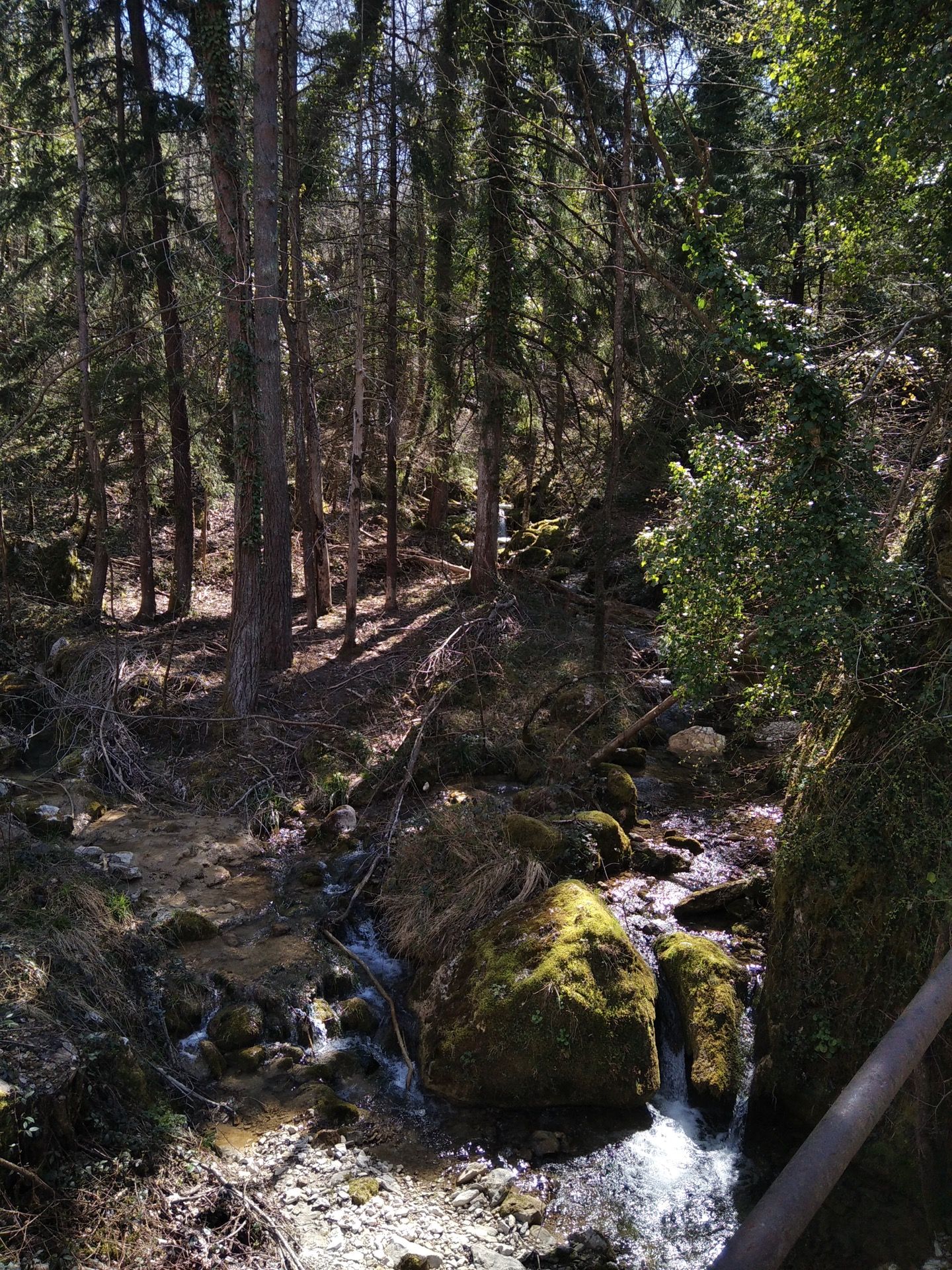 Vegetazione Luogo Incantato Di Piane Del Fiume Teramo Abruzzo Nella Valle Del Gran Sasso