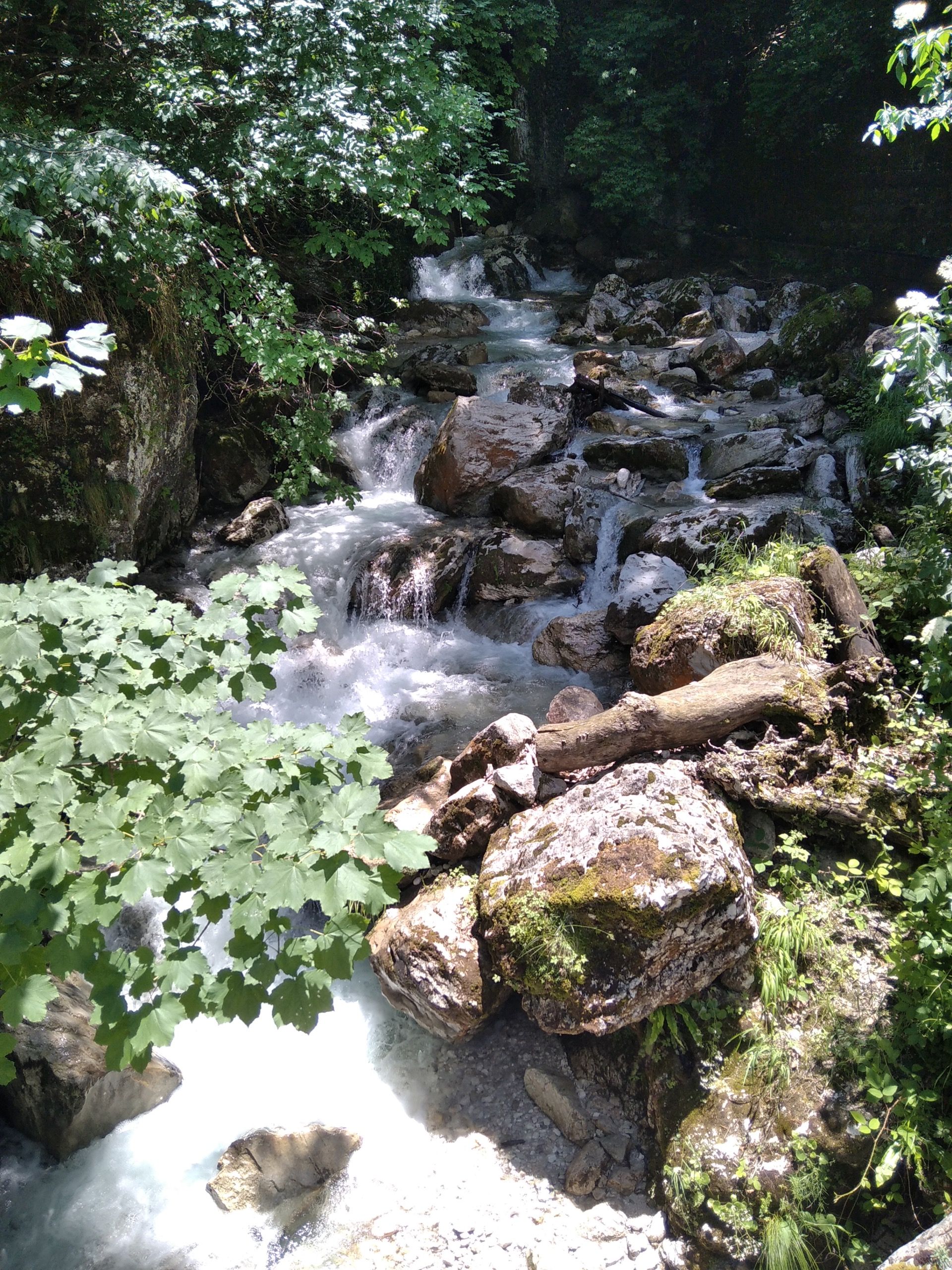 escursione sentieri tra boschi da Isola del Gran Sasso a Piane del Fiume in Abruzzo nel Gran Sasso D'Italia