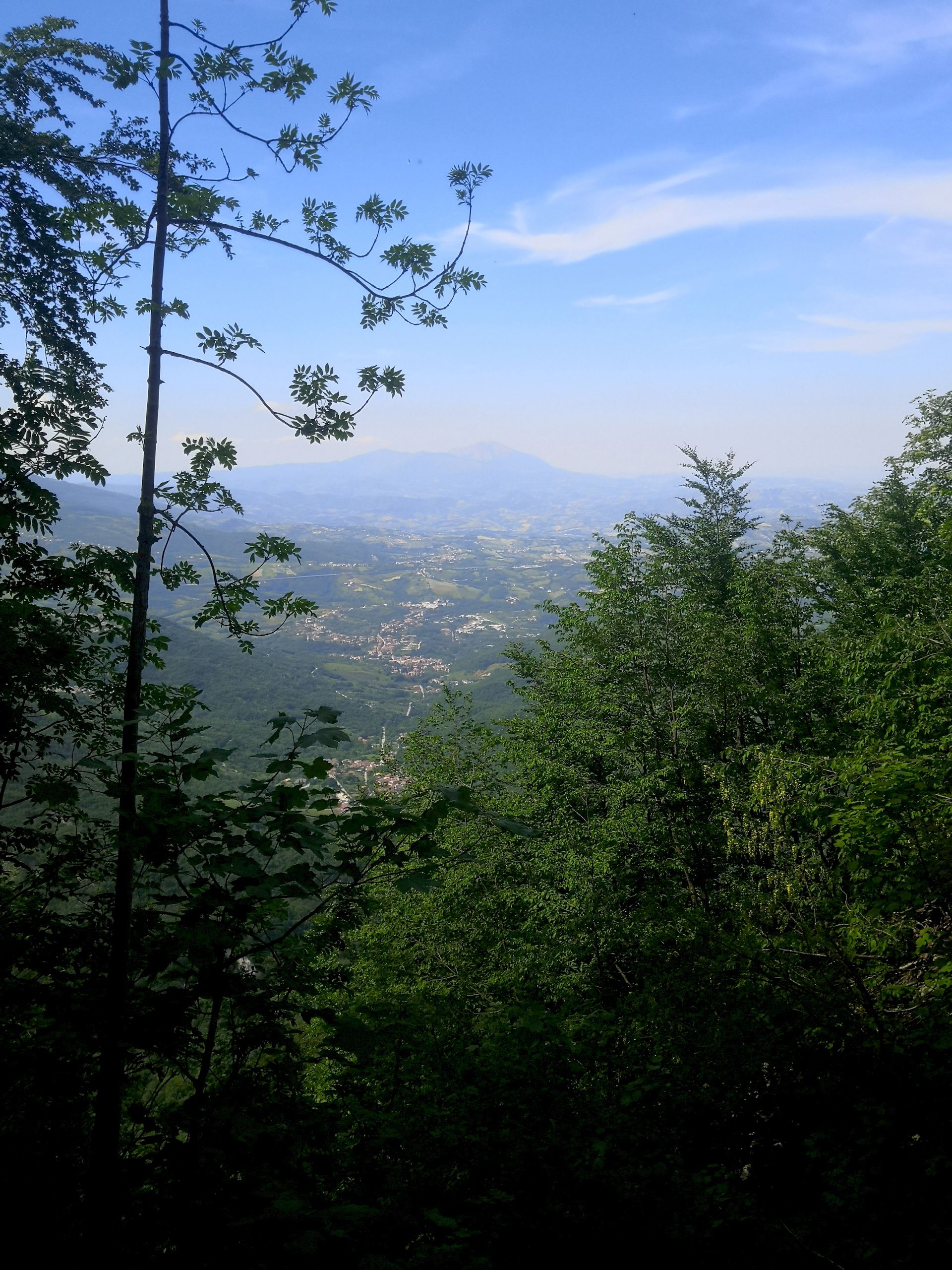 Il Respiro Del Bosco del Gran Sasso D'Italia