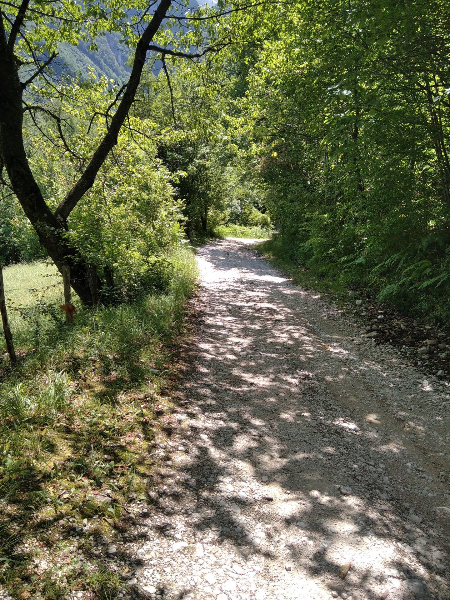 Sentiero Luogo Incantato Di Piane Del Fiume Teramo Abruzzo Nella Valle Del Gran Sasso