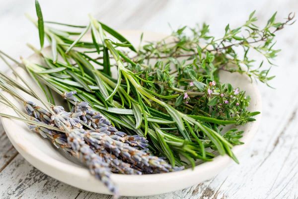 Erbe aromatiche tipiche del territorio del Gran Sasso D'Italia in Abruzzo