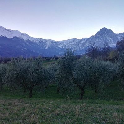 panorama Oleificio D'Archivio Carlo a Ornano Grande di Teramo in Abruzzo