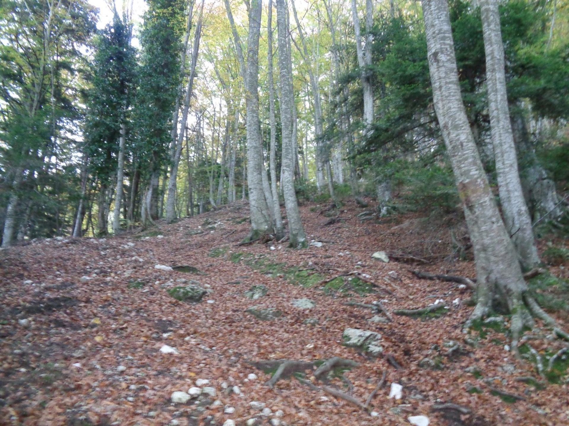 Escursione In Vetta Nella Valle Del Gran Sasso Da Sella Del Cimone Di Santa Colomba Foto 5