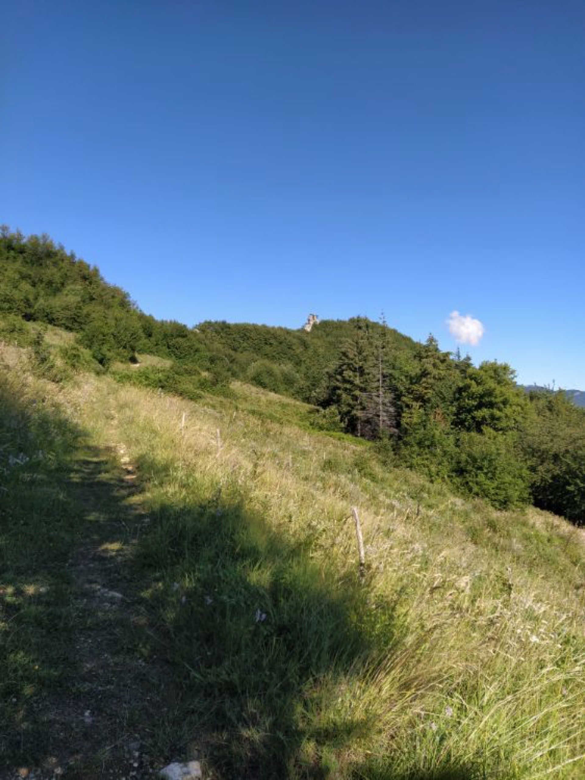 Passeggiata Tra I Boschi Nella Valle Siciliana Da Castelli Al Castello Di Pagliara Foto 6