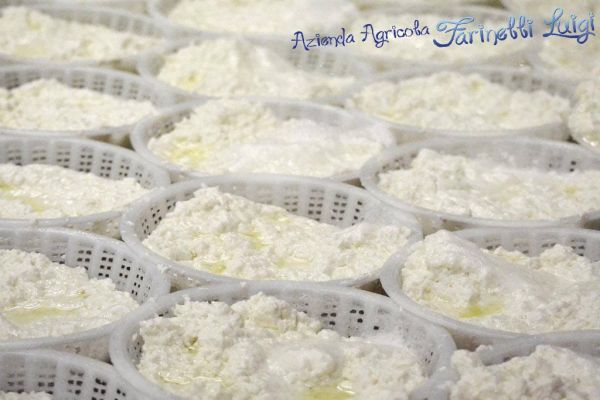 ricotta calda Azienda Agricola Luigi Farinelli Isola Del Gran Sasso in Abruzzo