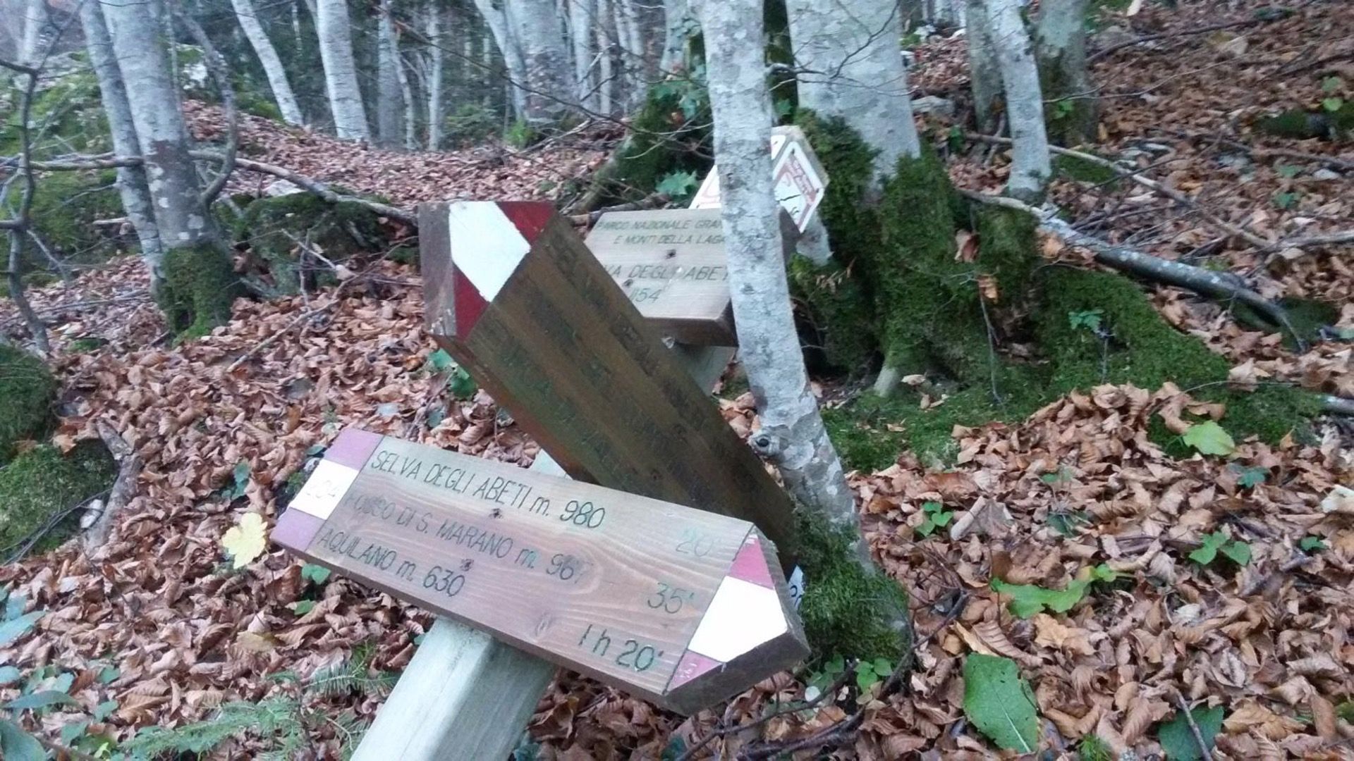 Escursione In Vetta Nella Valle Siciliana In Abruzzo Da Tozzanella A Selva Degli Abeti Foto 5