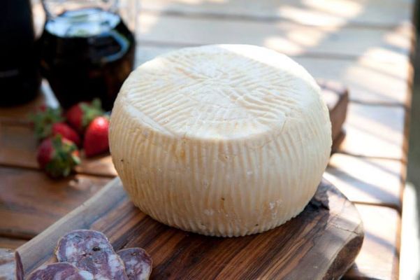 formaggio ricotta calda Azienda Agricola Luigi Farinelli Isola Del Gran Sasso in Abruzzo