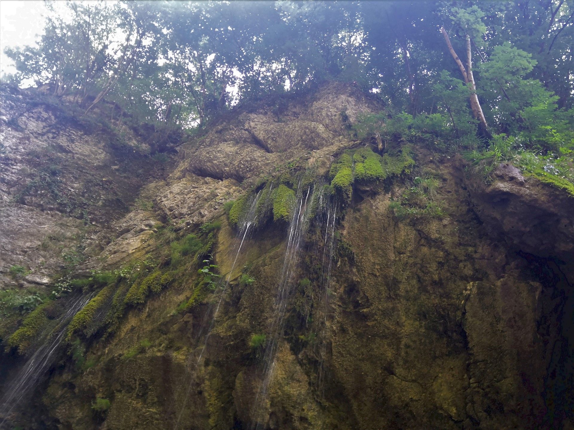 cascata del respiro del bosco