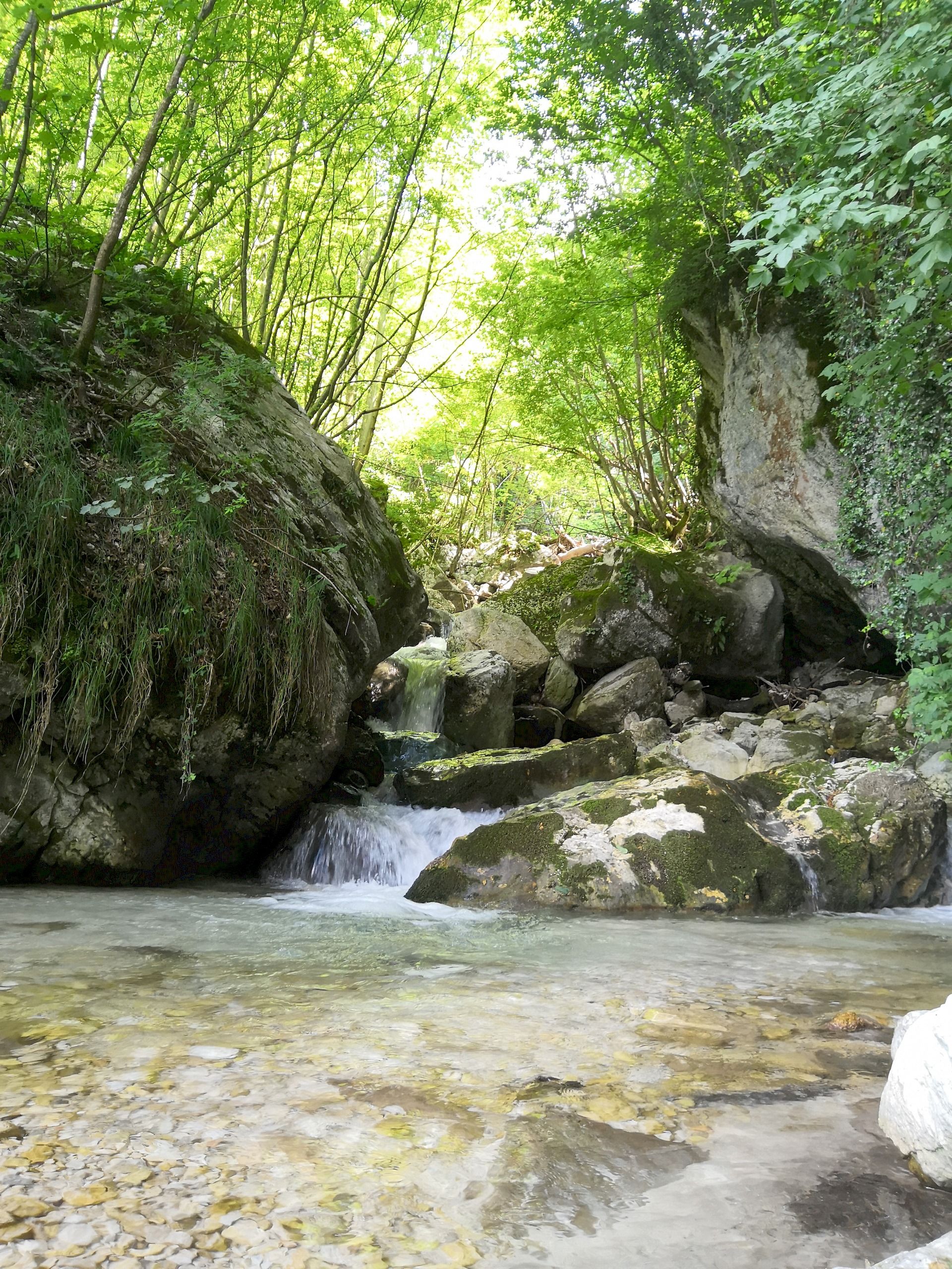 torrente di montagna seguendo l'acqua Gran Sasso D'Italia