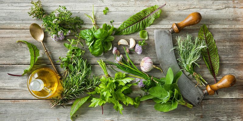 Erbe aromatiche tipiche del territorio del Gran Sasso D'Italia in Abruzzo