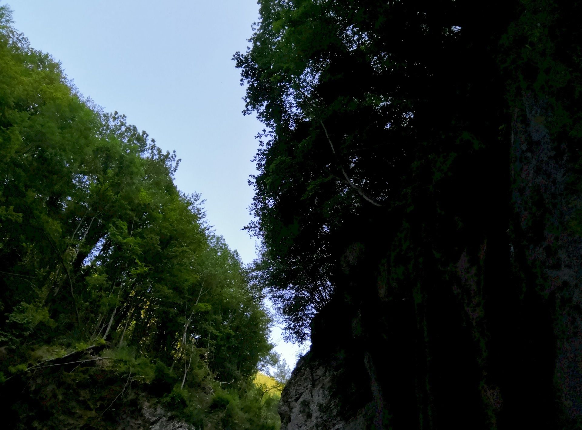 Il Respiro Del Bosco del Gran Sasso D'Italia