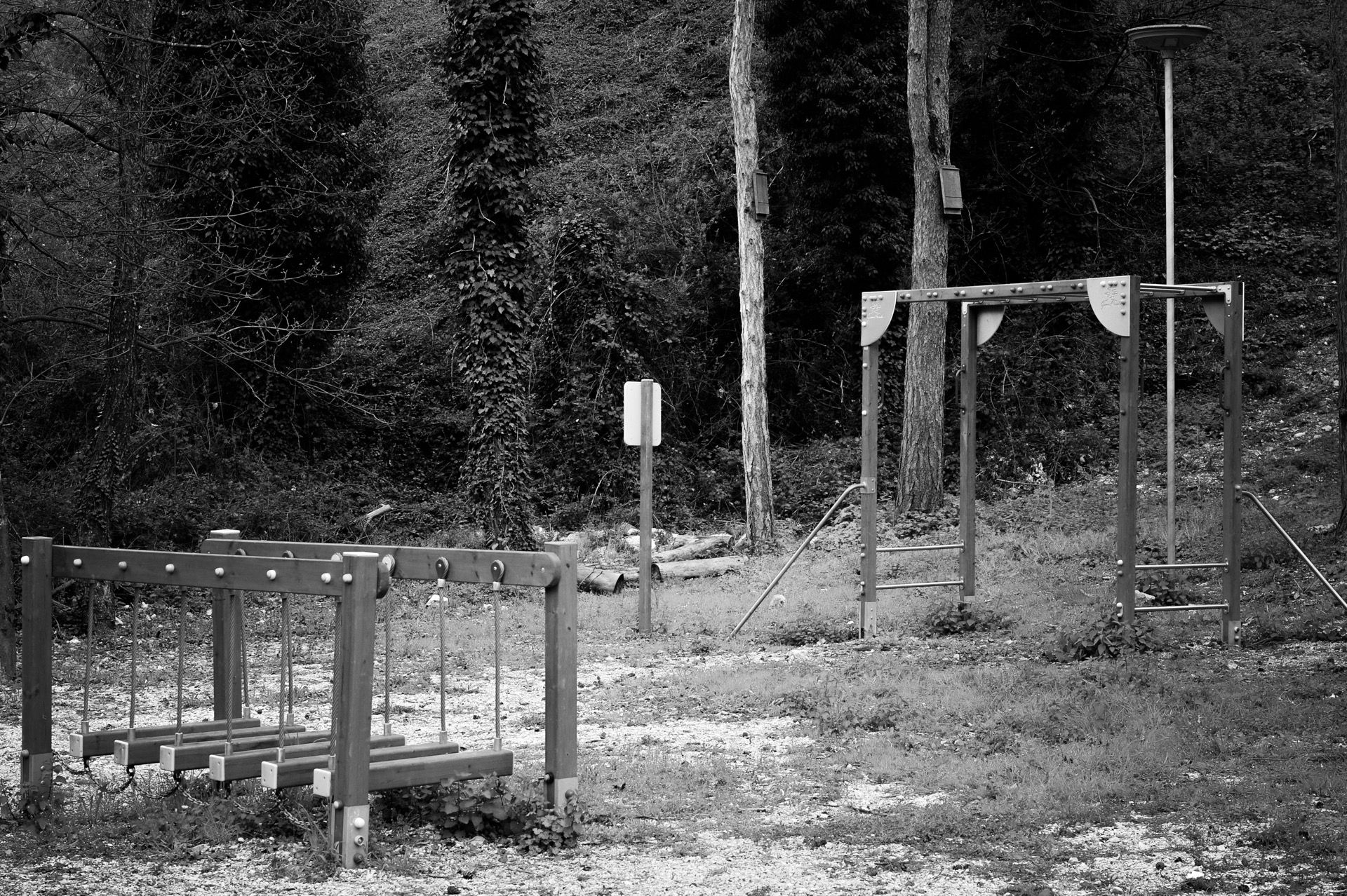 Particolre del luogo incantato del Parco del'Ortolano nella valle del Gran sasso in Abruzzo