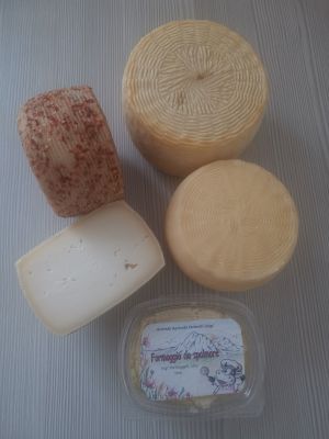 caciotte stagionate ricotta calda Azienda Agricola Luigi Farinelli Isola Del Gran Sasso in Abruzzo