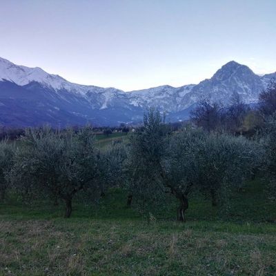 panorama Oleificio D'Archivio Carlo a Ornano Grande di Teramo in Abruzzo