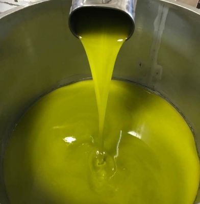 olio verde appena spremuto frantoio Villa Enzo Isola Del Gran Sasso D'italia in Abruzzo