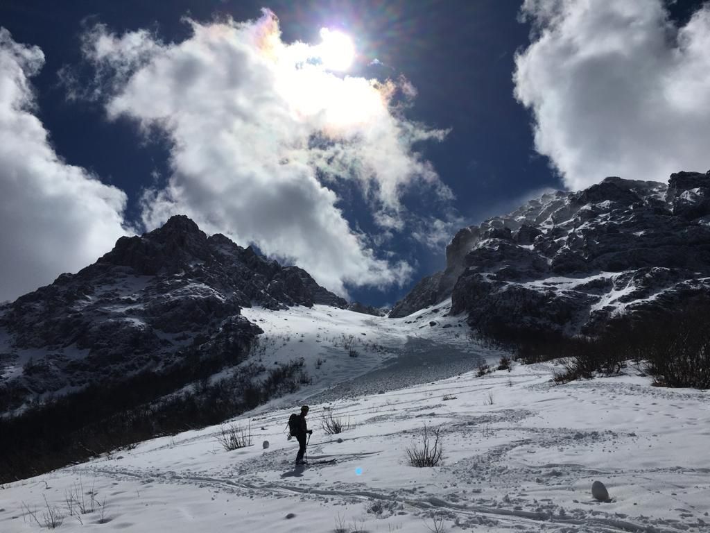 bosco innevato del Gran Sasso D'Italia