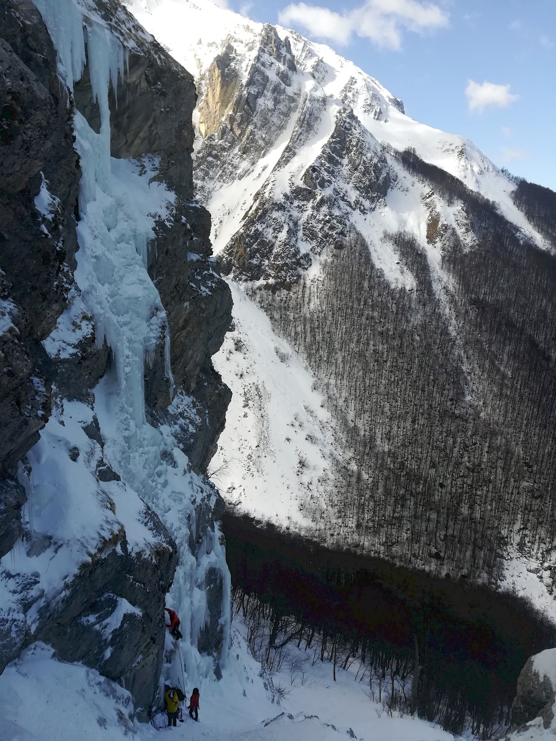 bosco innevato del Gran Sasso D'Italia