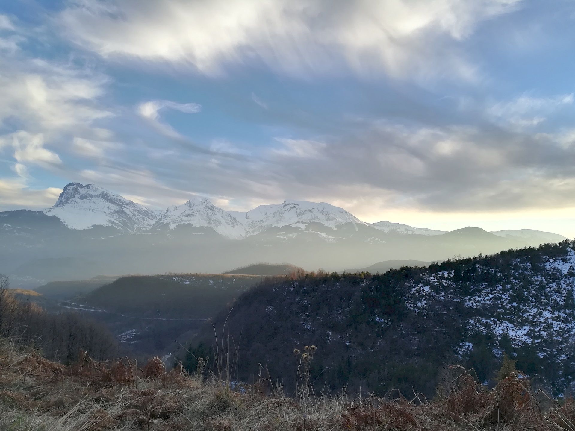 bosco innevato del Gran Sasso D'Italia